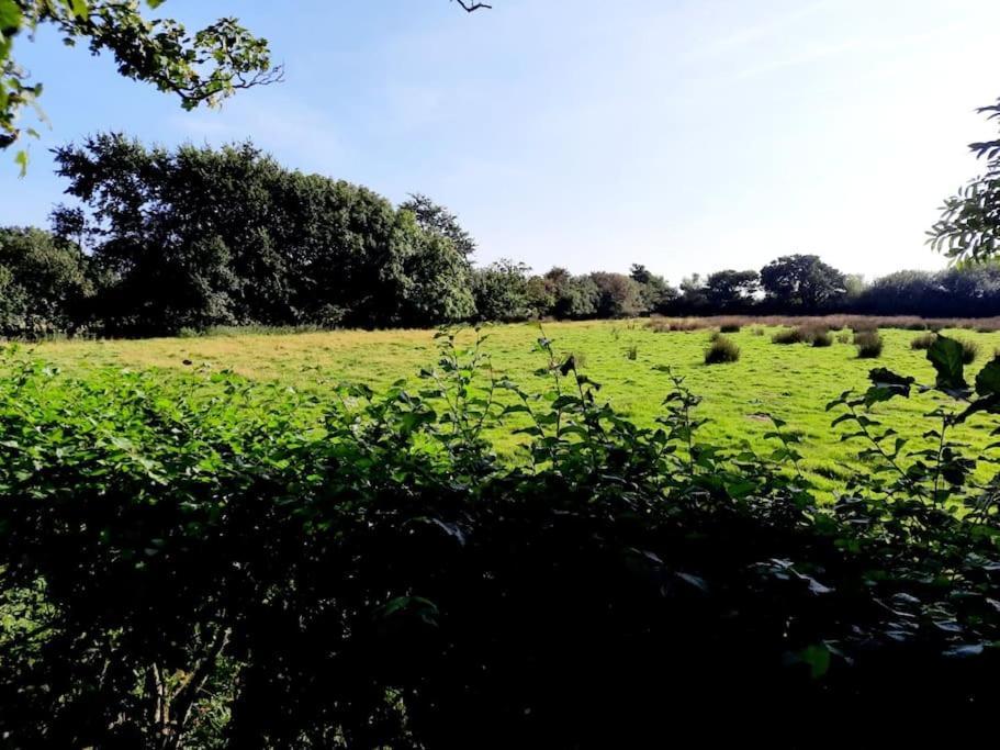 Rhos Y Bel Cottage Angelsey Llangadwaladr  Kültér fotó