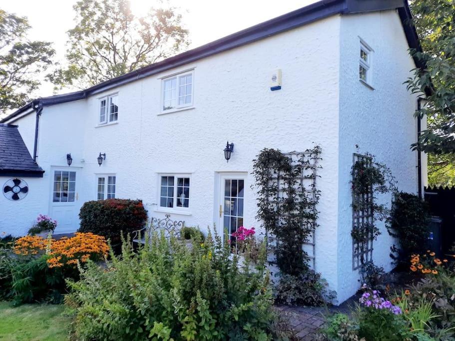 Rhos Y Bel Cottage Angelsey Llangadwaladr  Kültér fotó